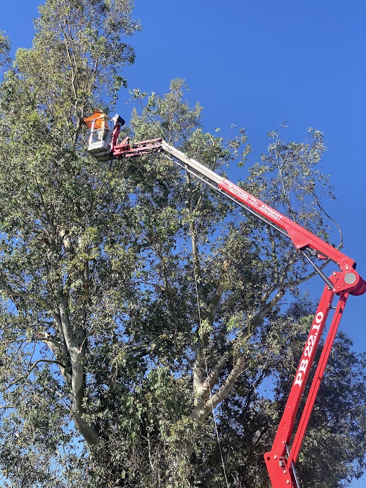 Green Leaf Solutions, LLC project